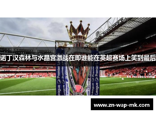 诺丁汉森林与水晶宫激战在即谁能在英超赛场上笑到最后